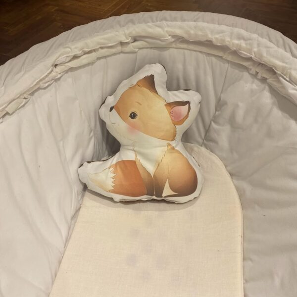 coussin decoratif