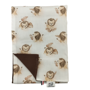COUVERTURE ÉTÉ LIONS